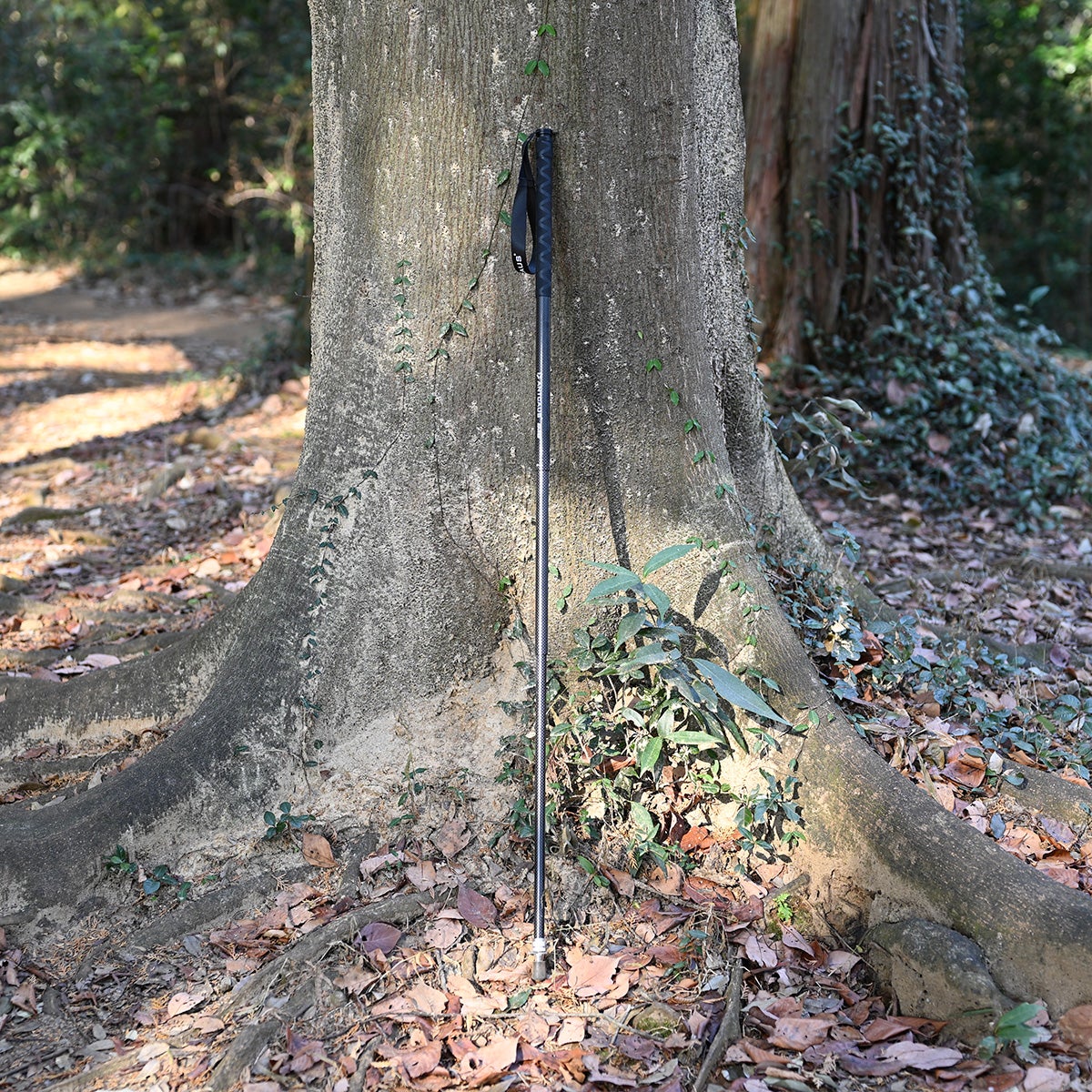 ANTCAUS】Carbon Trekking Pole | LEISURES HIKE&CAMP&LONGTRAIL